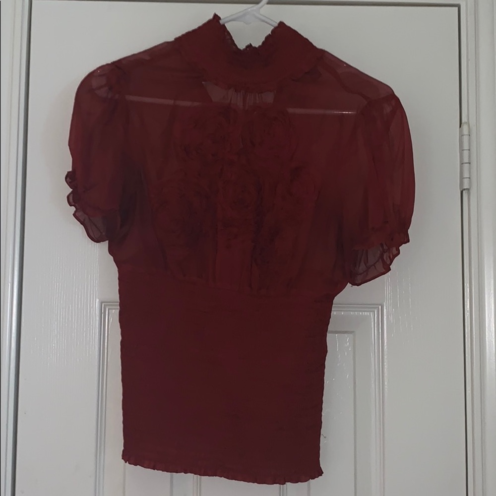 Beautiful Sheer Rose Top